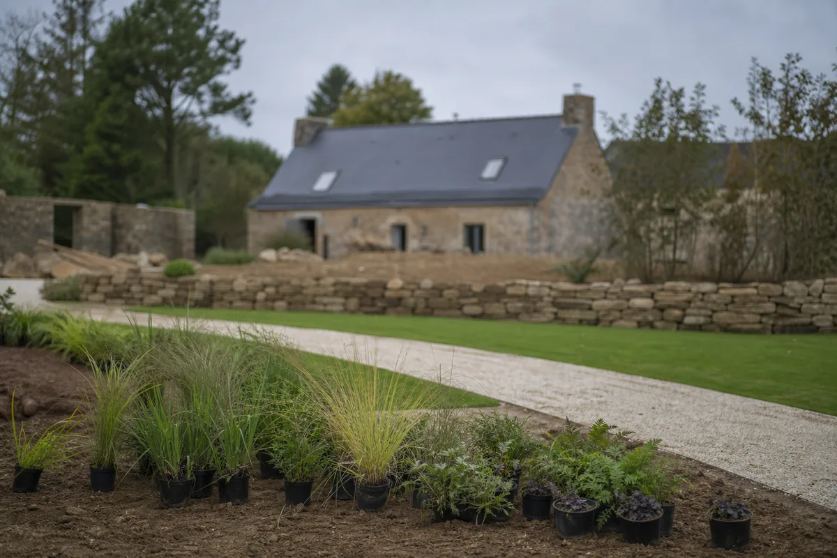 Jardin en cours d’aménagement autour d’une longère en pierre du pays de Montfort, allée en gravier stabilisé et jeunes massifs de graminées sur sol argileux